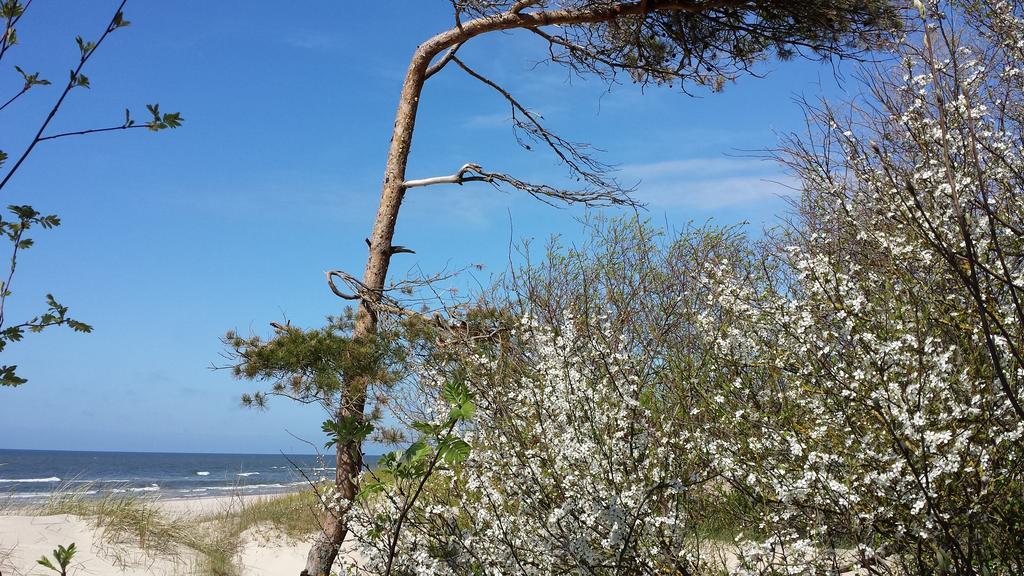 A.V. Namai Hotell Palanga Eksteriør bilde